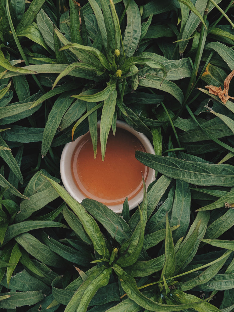Top Spring Teas to Elevate Your Sip